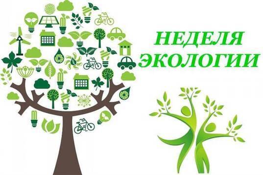 Неделя экологии в школе.